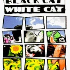 검은 고양이, 흰 고양이